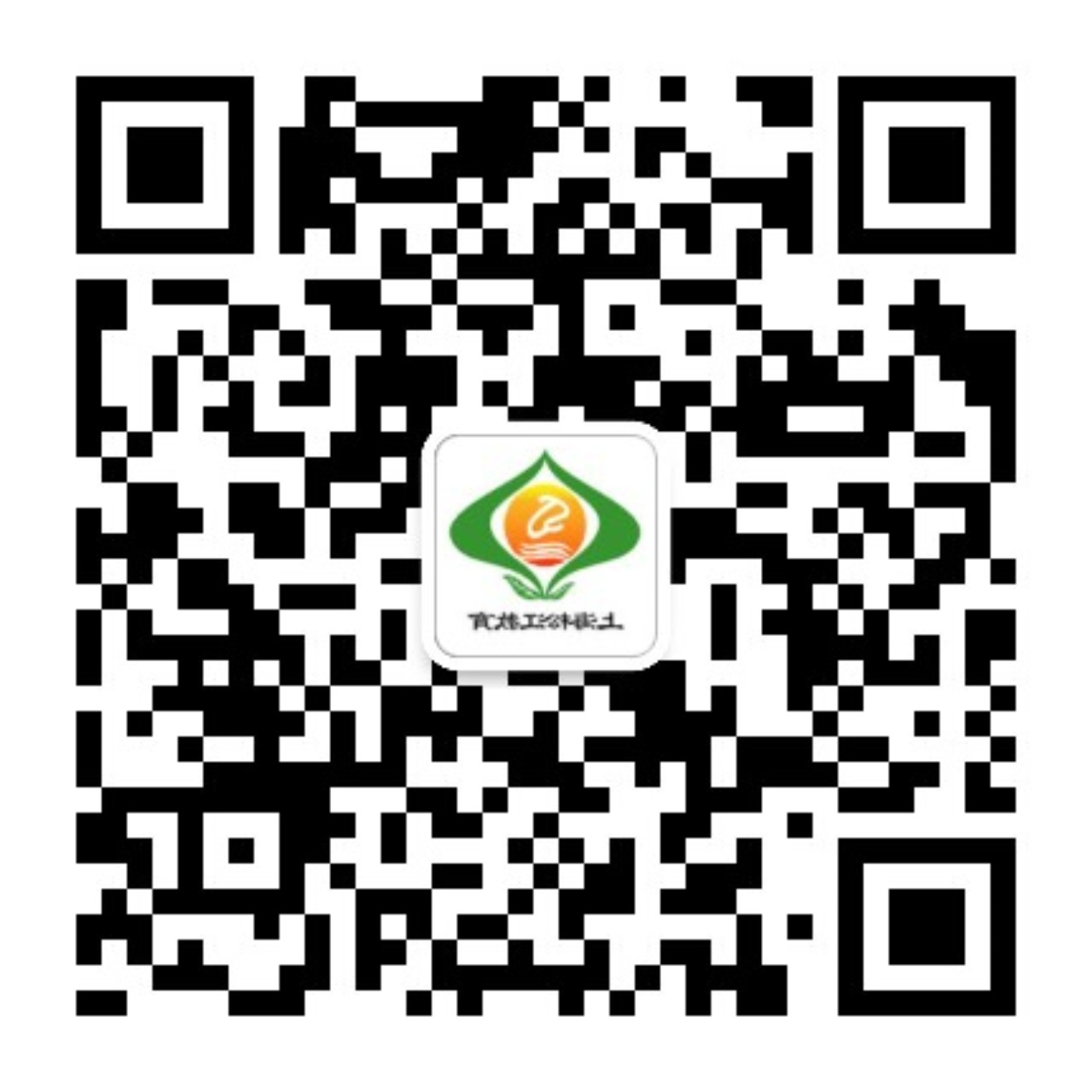 上海松江教育微信
